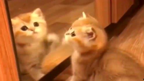 三炮搞笑视频,笑料百出，欢乐无限