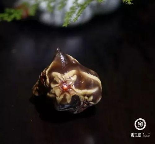 筋脉石视频,揭秘古老石材的神奇功效与独特魅力