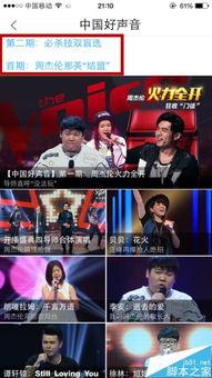 视频快四,探寻音乐的魅力瞬间