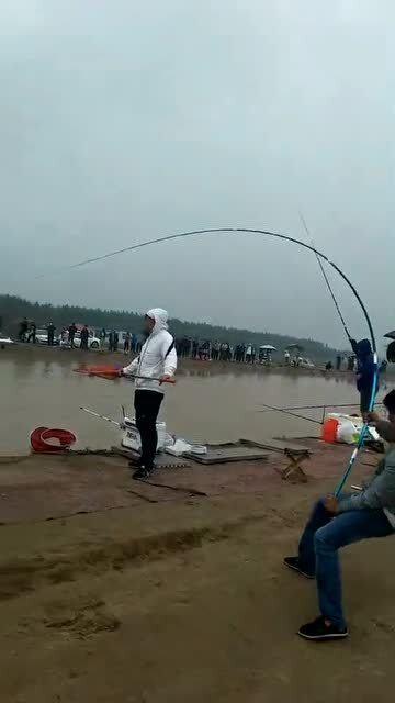 钓大物视频,视频教学带你轻松捕获巨物